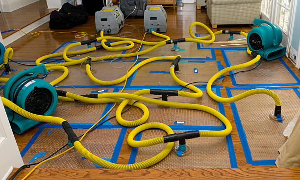 Professional Water Damage Repair technician working in Newhall, IA