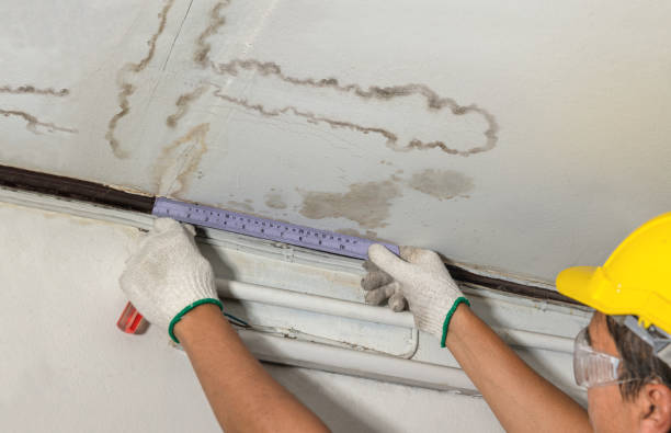 Affordable Water Damage Repair solutions in Newhall, IA